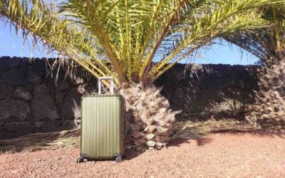 生涯使えるスーツケース！MVST Trevaのメリット・デメリットを徹底レビュー