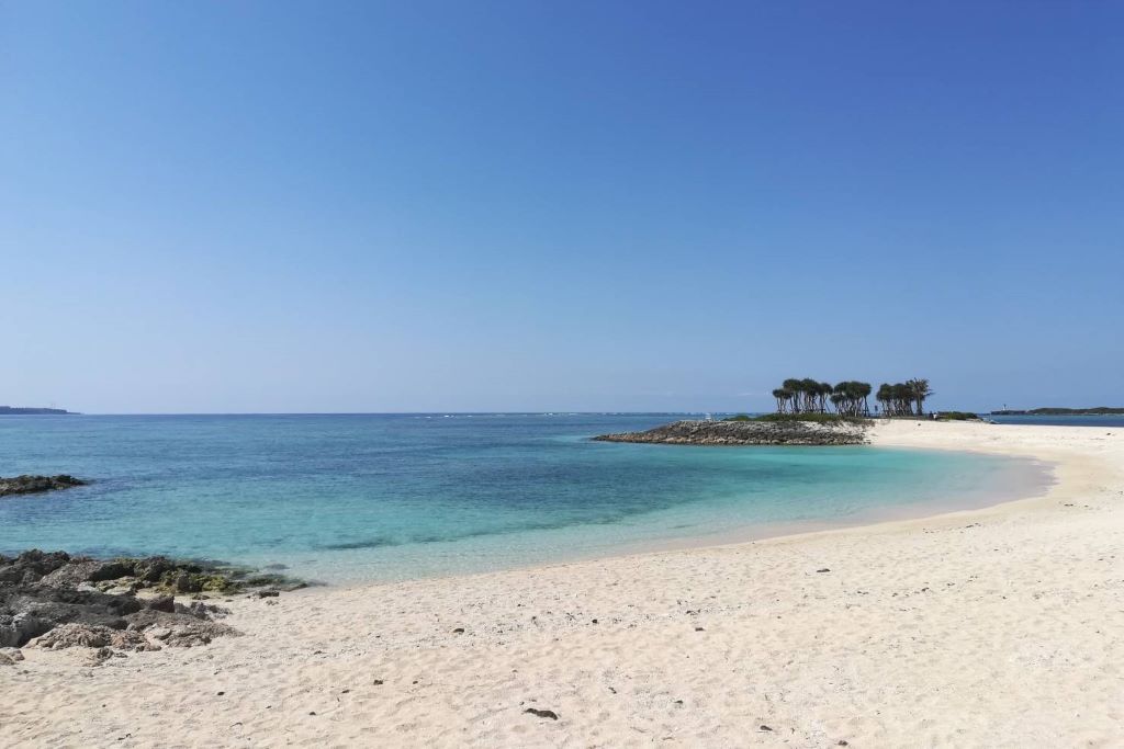 beach-tree-okinawa-japan 沖縄の海