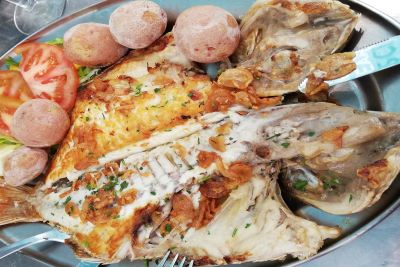 スペイン・カナリア諸島のランサローテ島のヨーロッパマダイ