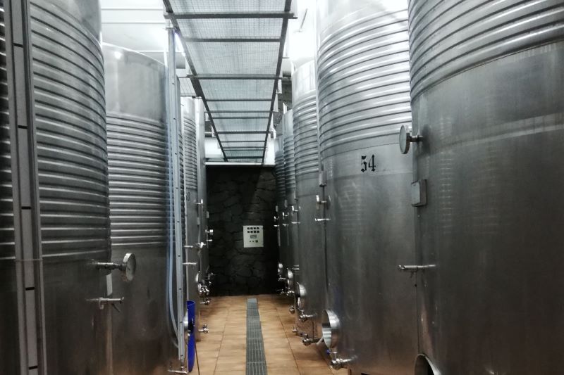 ランサローテ島のラ・ヘリア地域のワインセラー