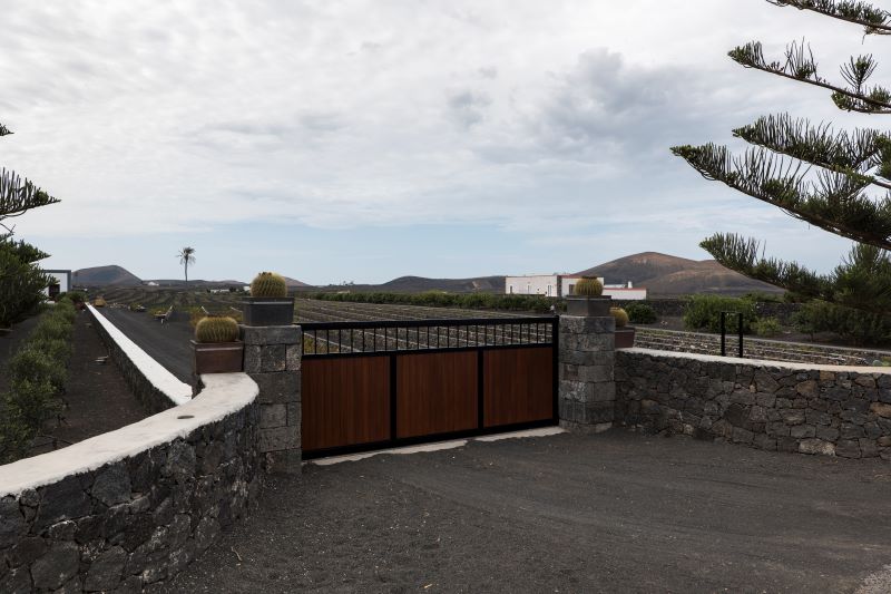 ランサローテ島のボデガ・ロス・ベルメホスのブドウ畑