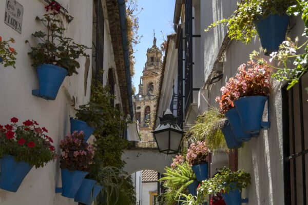 スペイン・コルドバの花の小径