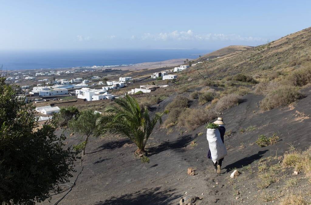 出発前に知っておきたい！ランサローテ島の観光に便利な基本情報