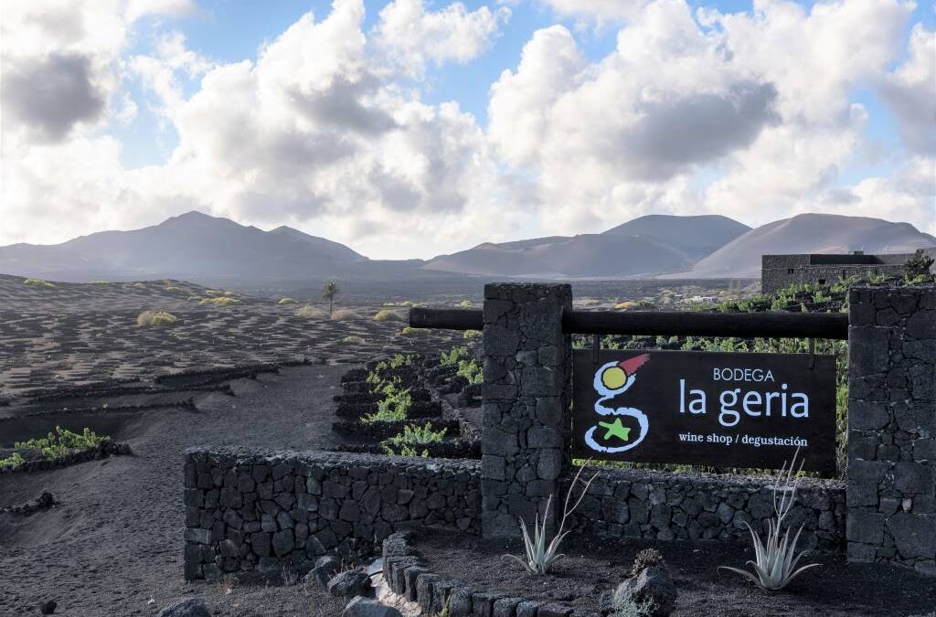 ランサローテ島の訪問者数１位ワイナリー！【ラ・ヘリア 】