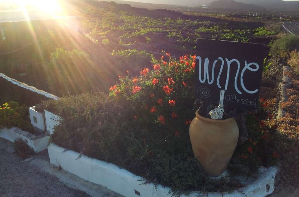 最高な贅沢！ランサローテ島の穴場ワイナリー【ベガ・ボルカン】