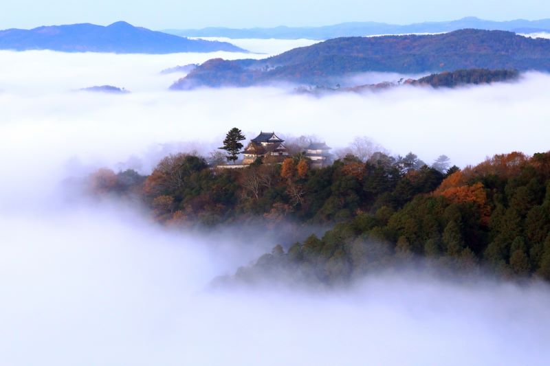 岡山・雲海に浮かぶ備中松山城