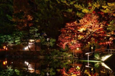 岡山・紅葉ライトアップの岡山城