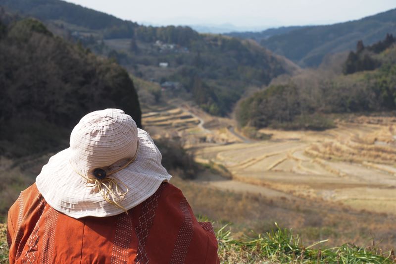 岡山県の大垪和西棚田