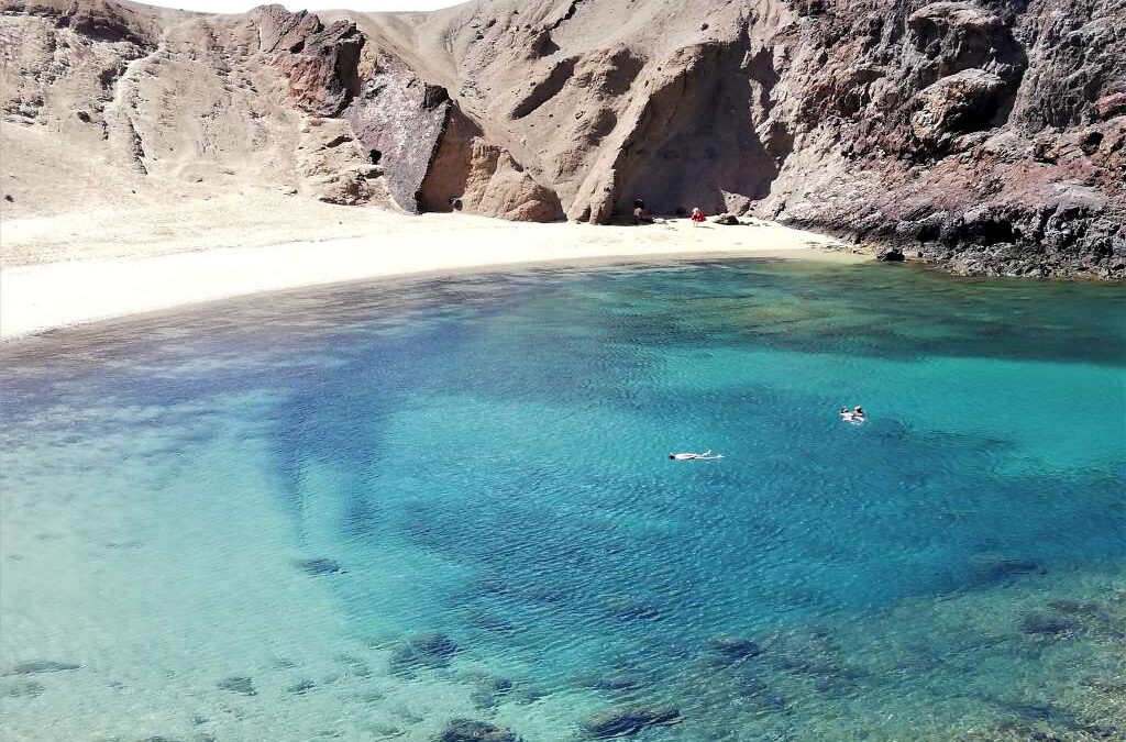 カナリア諸島の名前の由来はなに？