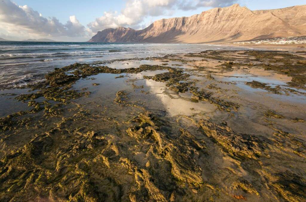 奇跡の絶景！ランサローテ島のファマーラビーチの見どころ(Playa de famara)