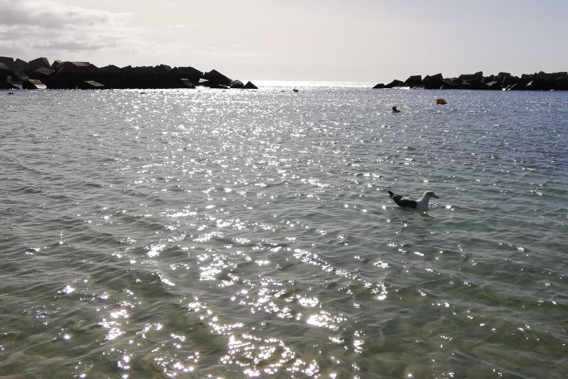 スペイン・カナリア諸島・ランサローテ島のフラミンゴ・ビーチ