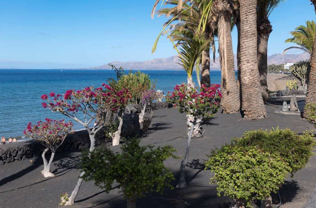 ランサローテ島観光の拠点プエルト・デル・カルメンの魅力！(Puerto del carmen)