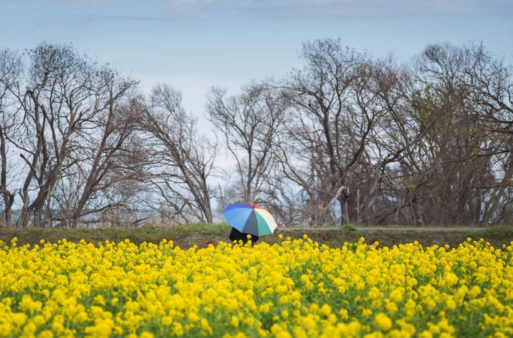 【滋賀の天気】晴れた琵琶湖を観光したい！気温から服装まで徹底解説！