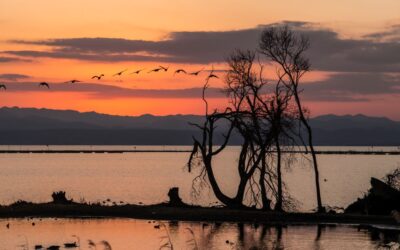 【初めての琵琶湖】絶対行きたいおすすめ観光スポット５選！歴史から絶景まで