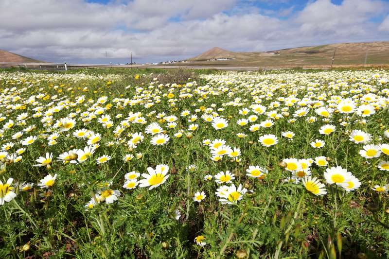 スペイン・カナリア諸島のランサローテ島の冬