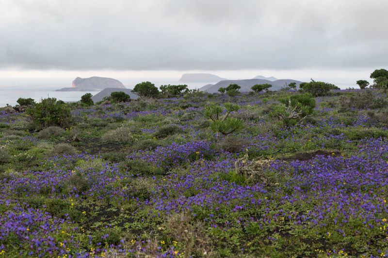 スペイン・カナリア諸島のランサローテ島の冬
